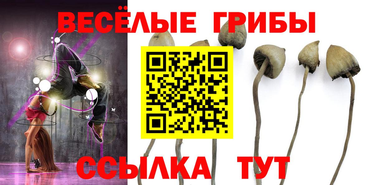 Псилоцибиновые грибы мицелий Коломна